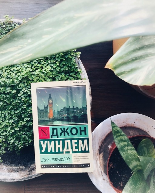 картинка NinaLisko
