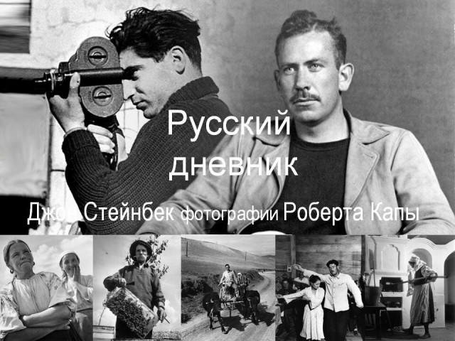 картинка NotSalt_13