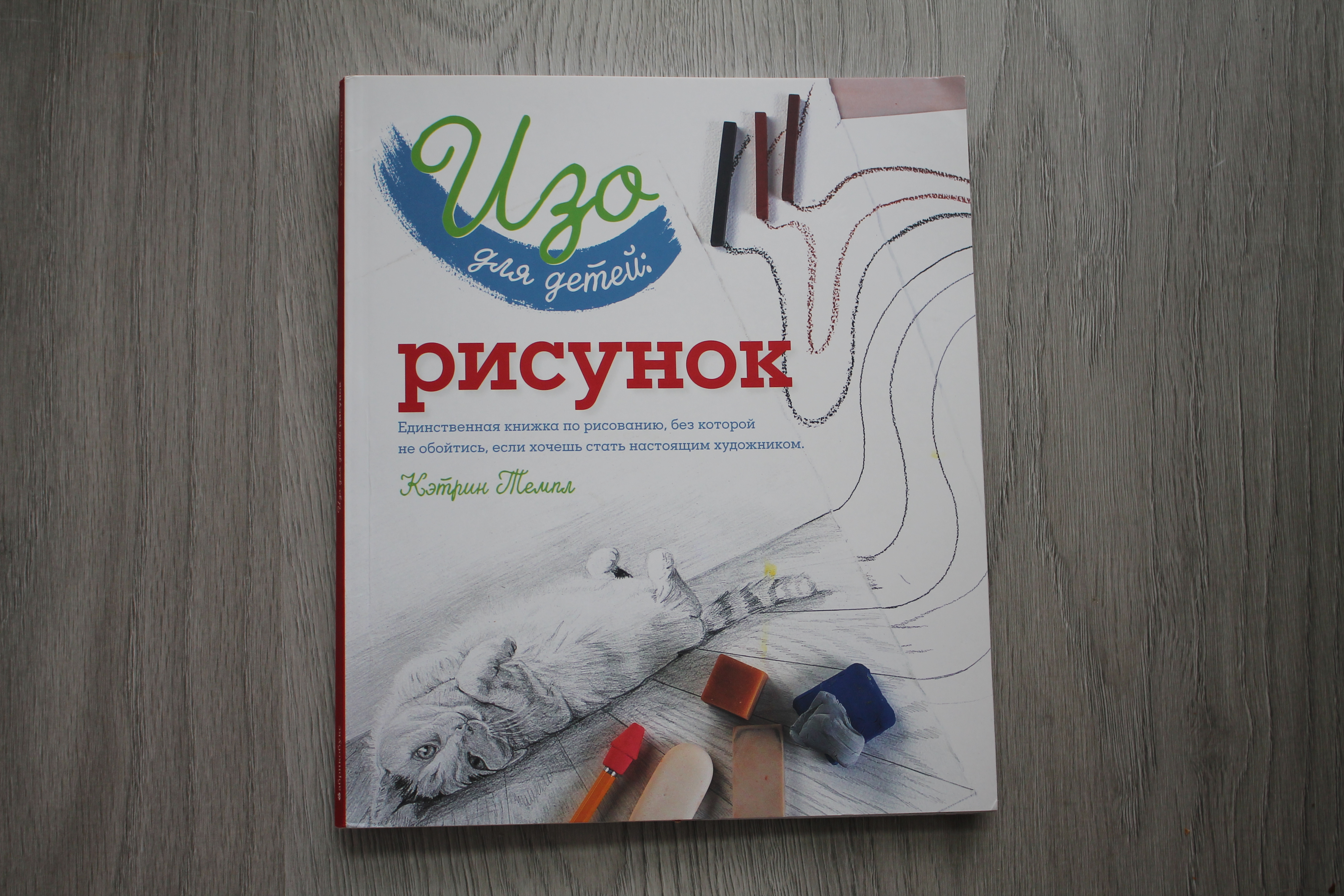 Рисования отзывы. Изо для детей рисунок Кэтрин Темпл. Книжка про рисование США. Книга для детей по рисованию отзывы. Пиваха хатыжи рисовать.