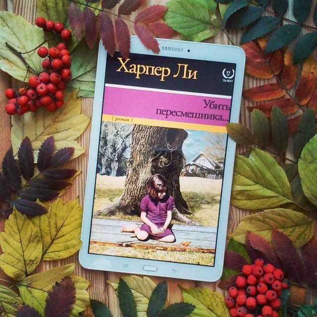 картинка OlesyaLisitsa