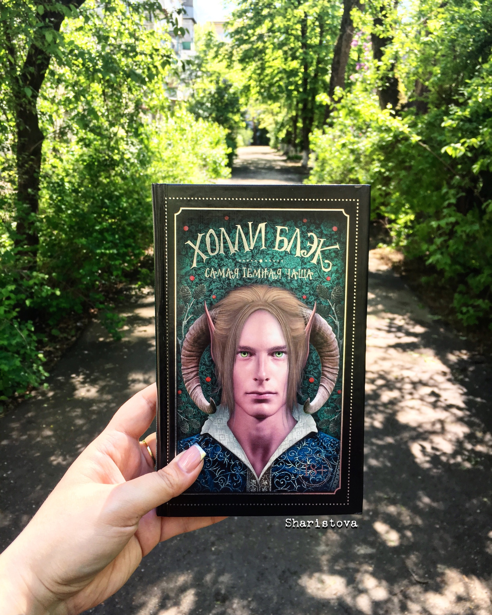 скачать самая темная чаща холли блэк Холли блэк самая темная чаща скачать книгу бесплатно (epub, fb2.