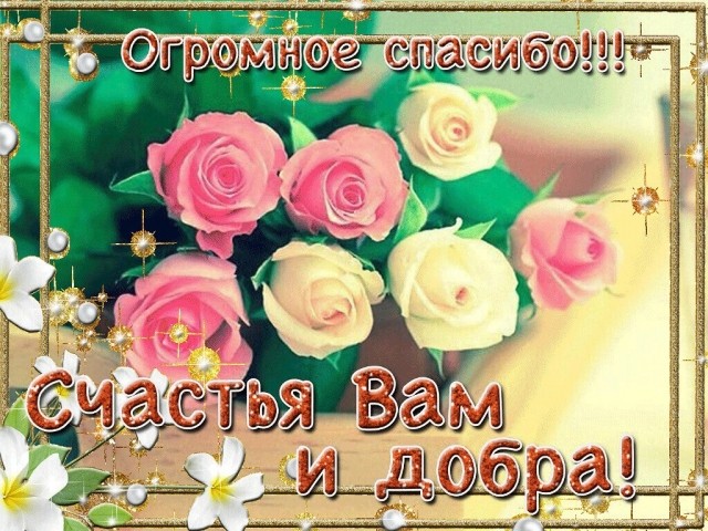 картинка Olga_Vladimirovna_ilinbib
