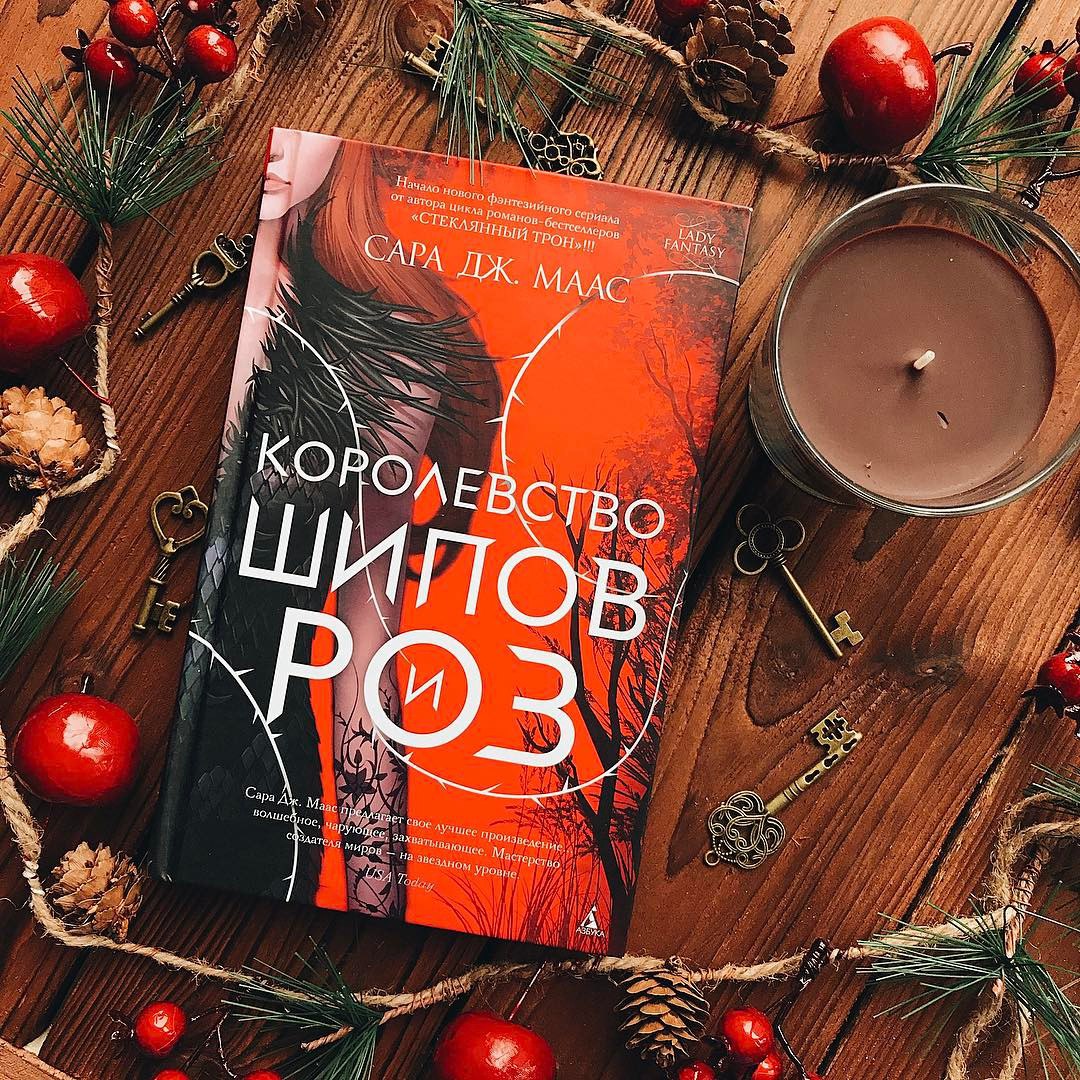 Королевство шипов и роз. Шипов и роз читать. Королевство шипов и роз фейра и ризанд. Королевство шипов и роз книга. Королевство шипов и роз цикл книг.