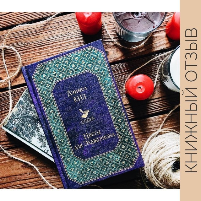 картинка Ollys_books