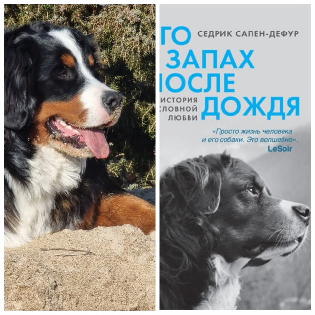 картинка Olma3