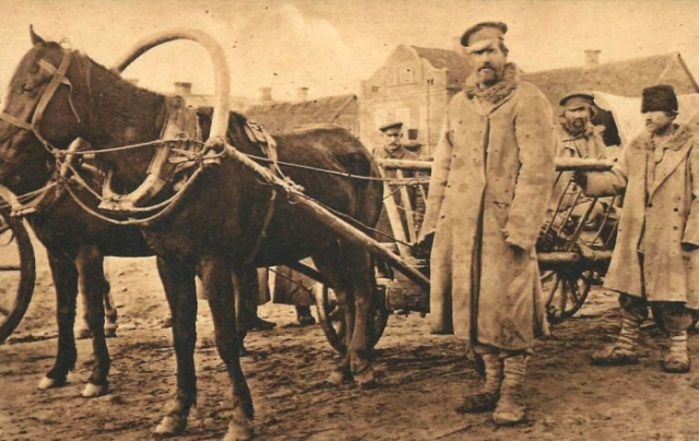 картинка Olma3