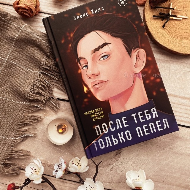 картинка OrangeSwan