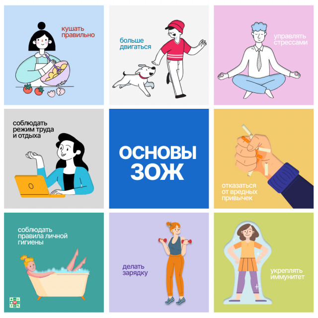 картинка OrregoChield