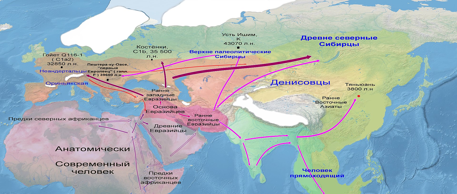 Карта происхождение человека