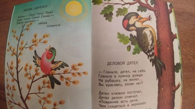 картинка PerottaPrettyish