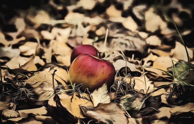 картинка ProstoYa74