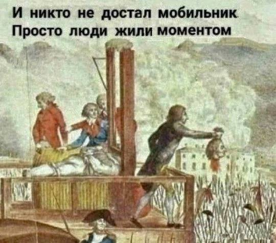 картинка Puddingus