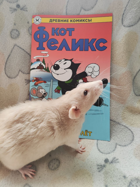 картинка Readrat