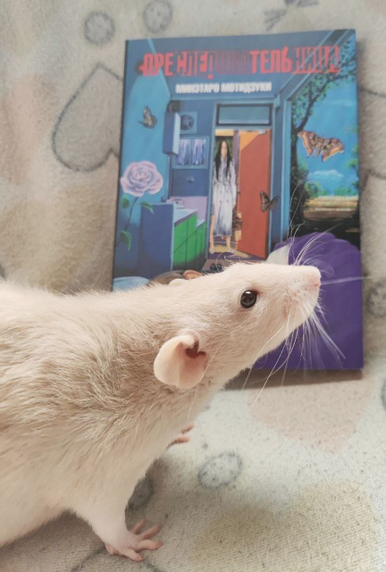 картинка Readrat