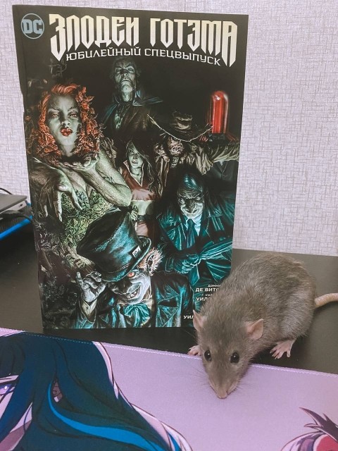 картинка Readrat