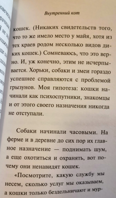 картинка Rebdoomer1999