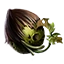 o-o.png