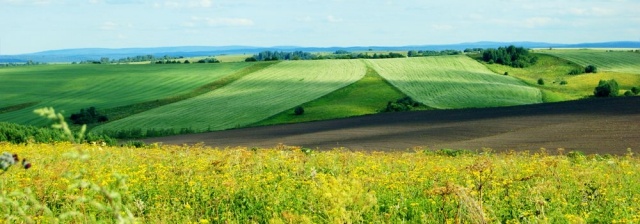 картинка Reresitta