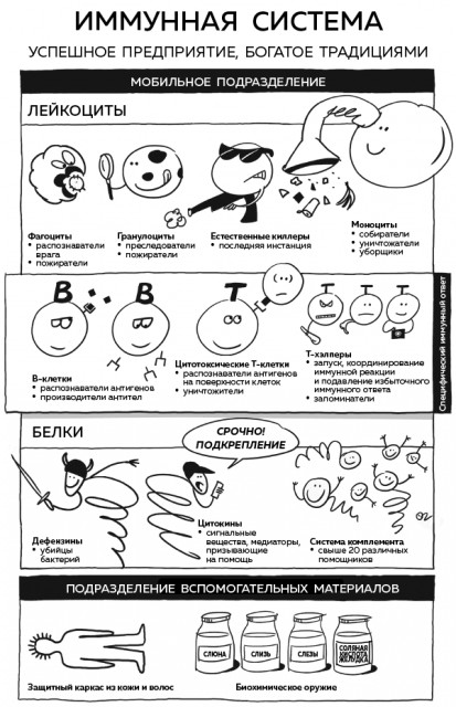 картинка Resolute