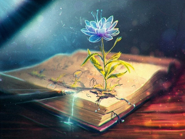 Книги и цветы картинки красивые