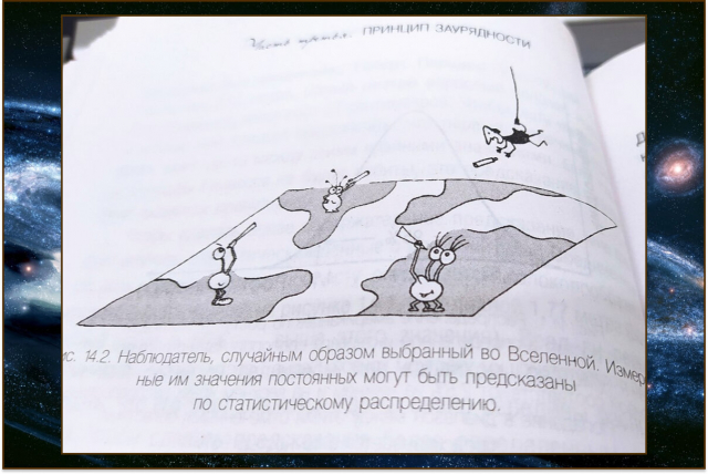 картинка Rosio