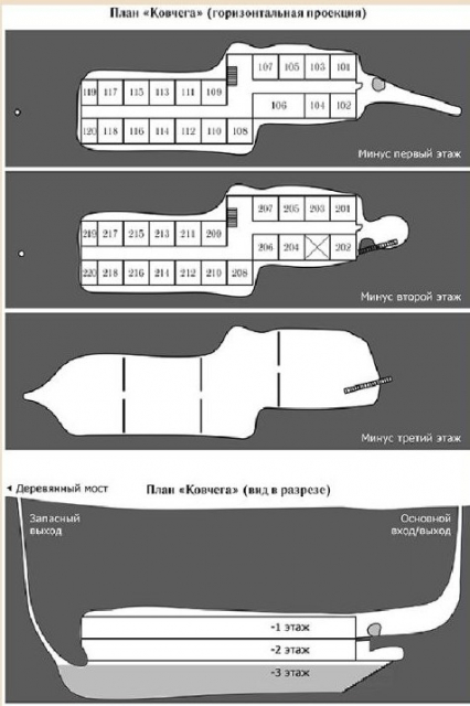 картинка Rosio