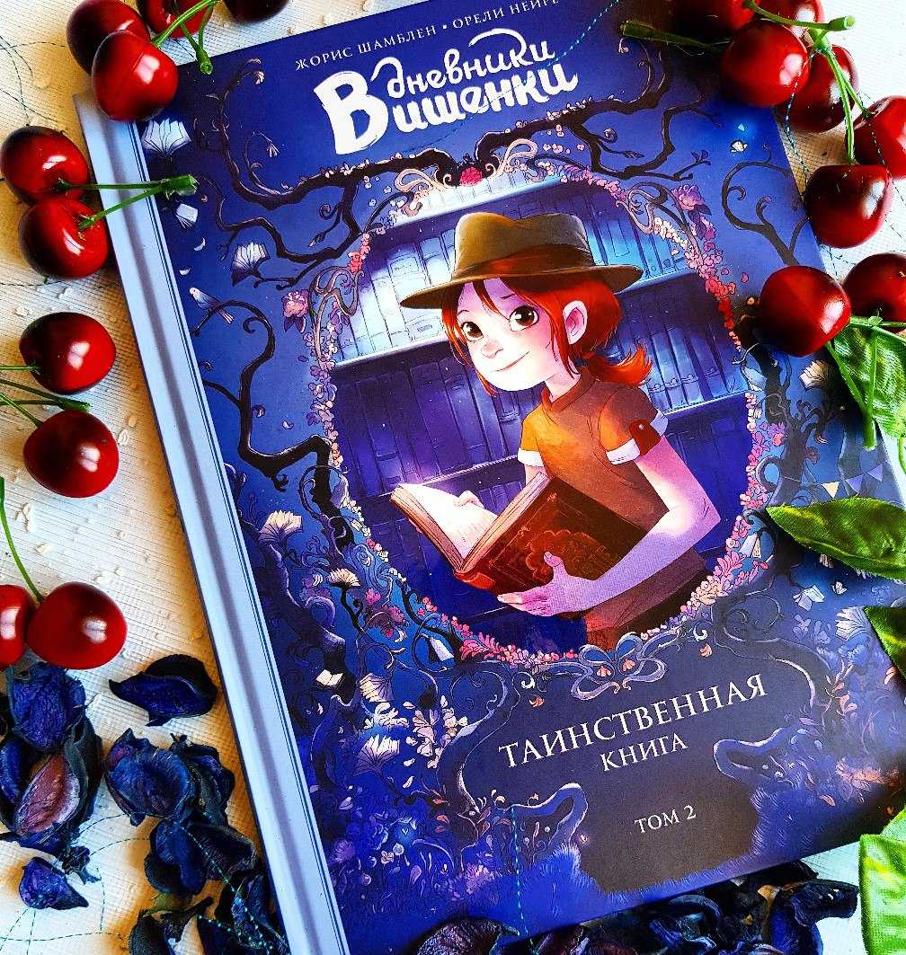 Дневник Книга Купить