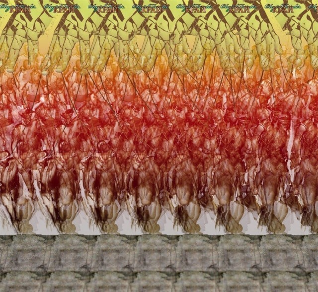 9o5ph5uc-r.jpg
