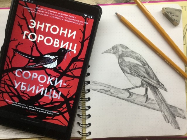 картинка Scout_Alice