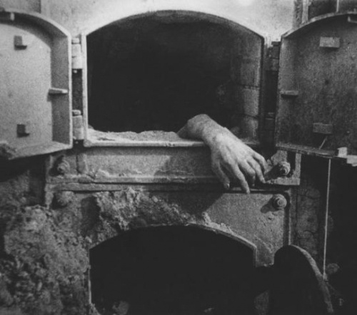 картинка Self