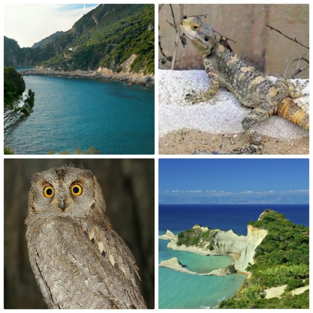 картинка SeryakHoldbacks