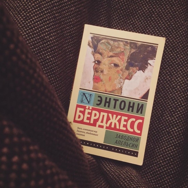 картинка SevaWolf