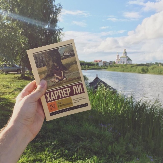 картинка SevaWolf
