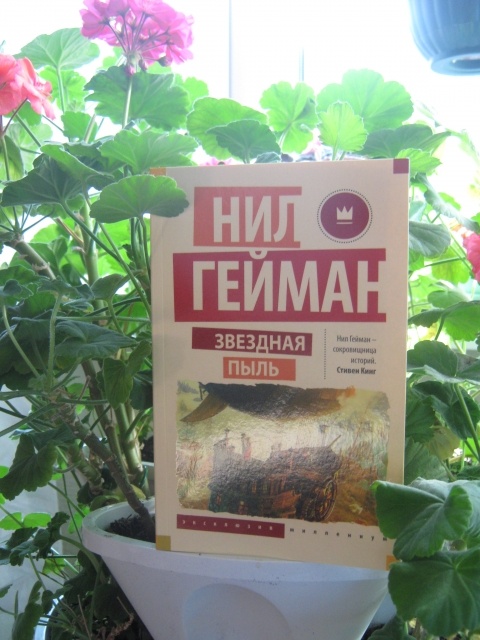 картинка Sey