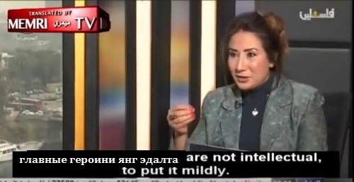 картинка Shellty