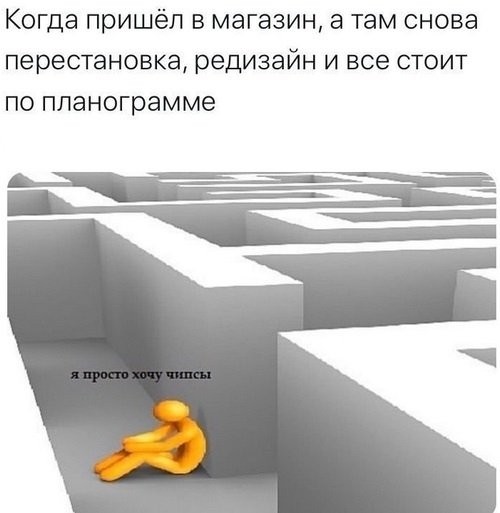 картинка Shellty