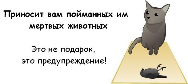 картинка SherrinfordHope