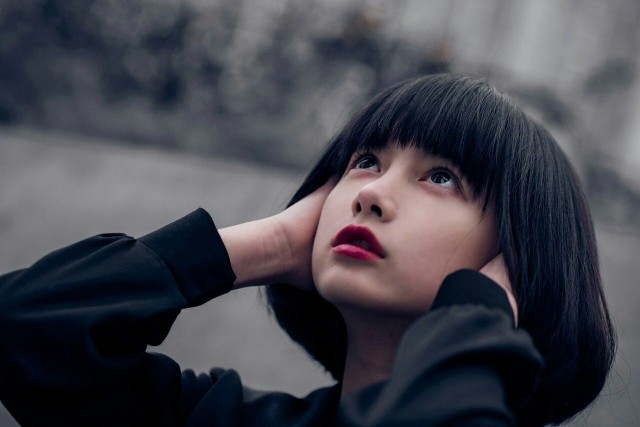 картинка ShiDa