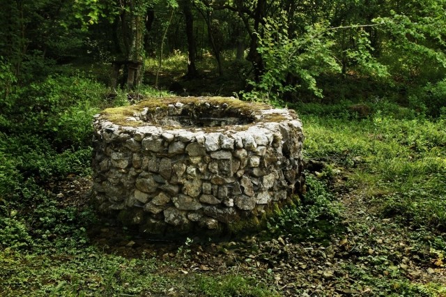 картинка Silaslov