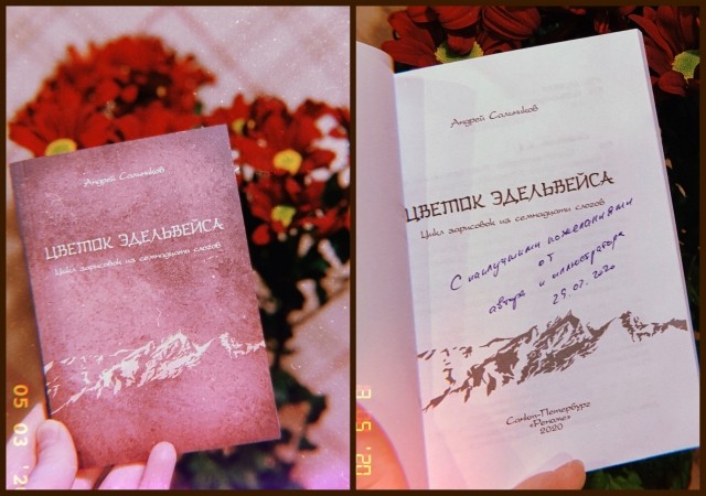 картинка Silka_dh