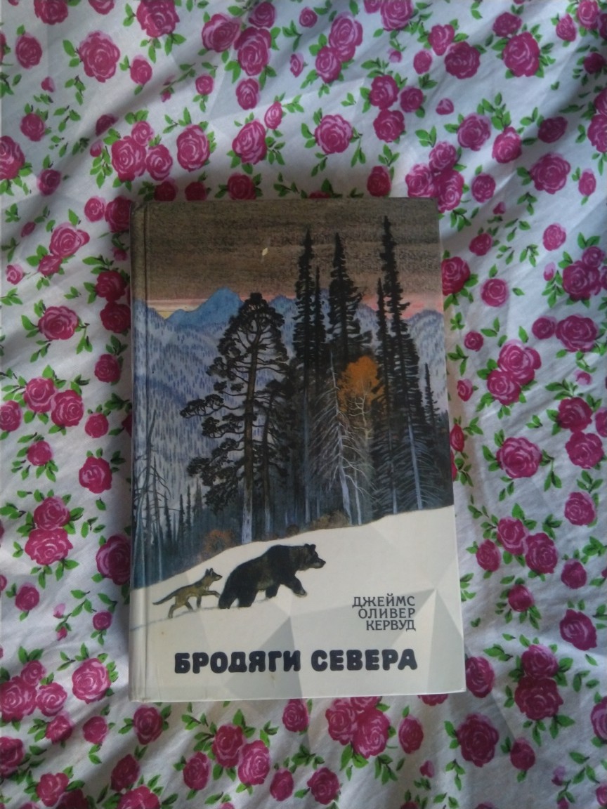 Чита Купить Книгу Кервуд Бродяги Севера