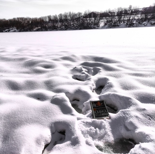 картинка Simbioz