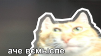 o-l.png