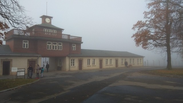 картинка Sovushkina
