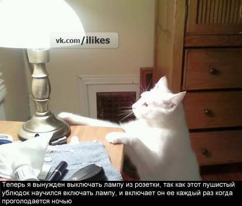 картинка Sunrise28