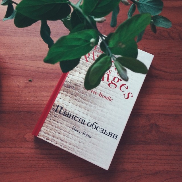картинка Tanusha_owl
