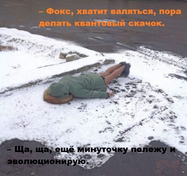 картинка TibetanFox