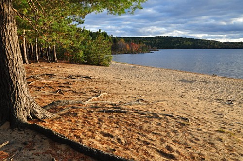 картинка Tusja
