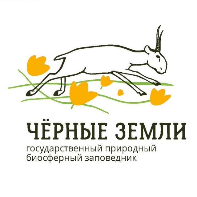 картинка VadimSosedko