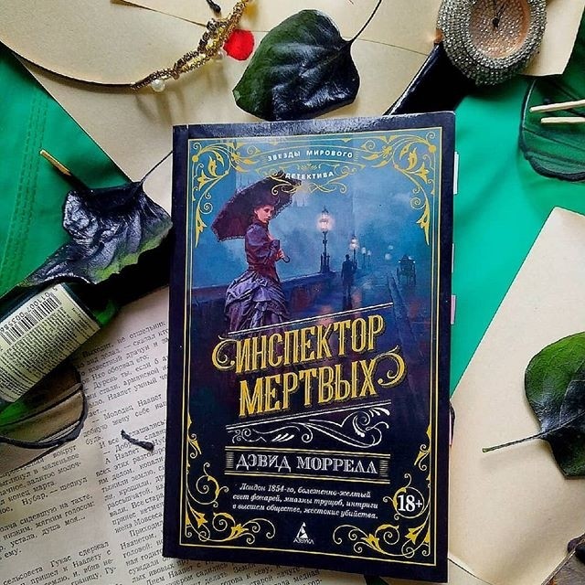 картинка Vilion